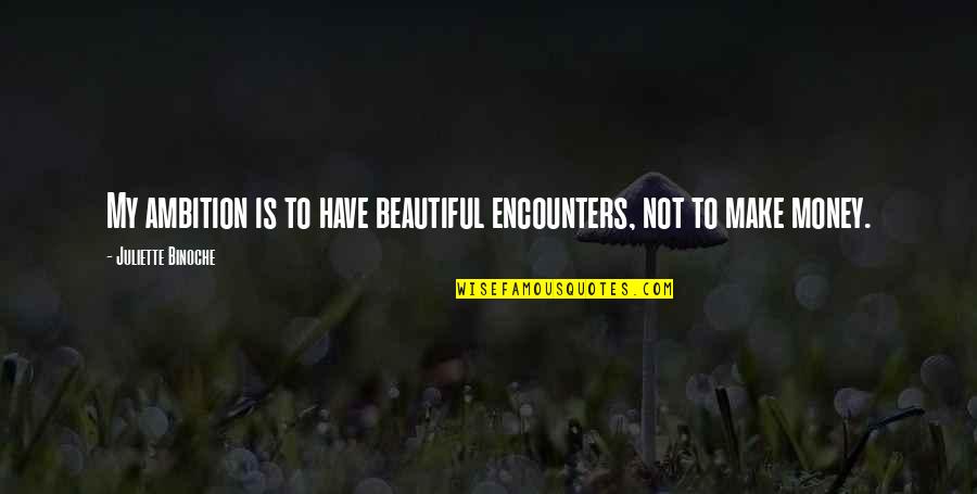 Ambition Quotes By Juliette Binoche: My ambition is to have beautiful encounters, not