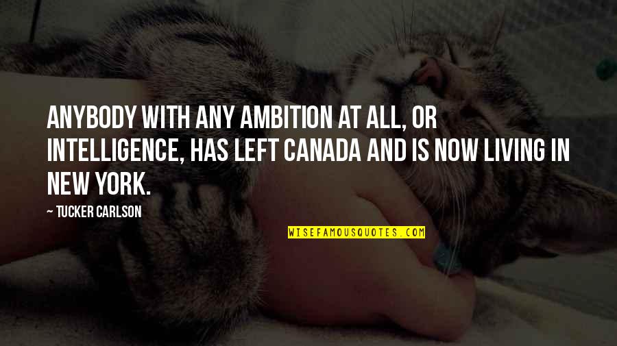 Ambition Quotes By Tucker Carlson: Anybody with any ambition at all, or intelligence,