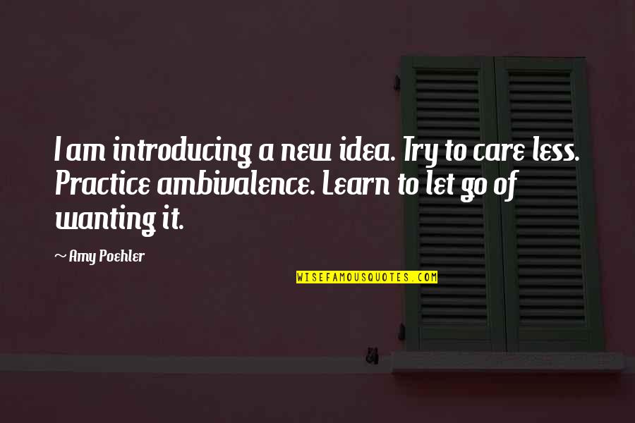 Ambivalence Quotes By Amy Poehler: I am introducing a new idea. Try to