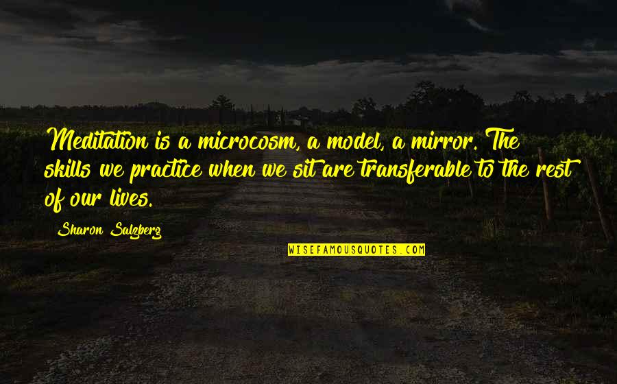 Ambrosia Quotes By Sharon Salzberg: Meditation is a microcosm, a model, a mirror.