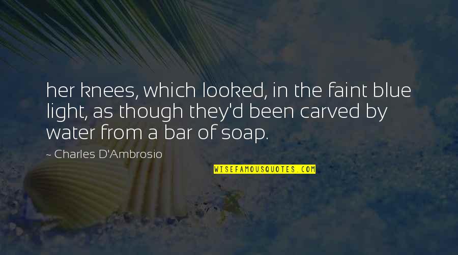 Ambrosio Quotes By Charles D'Ambrosio: her knees, which looked, in the faint blue Ambrosio Quotes By Charles D'Ambrosio: her knees, which looked, in the faint blue