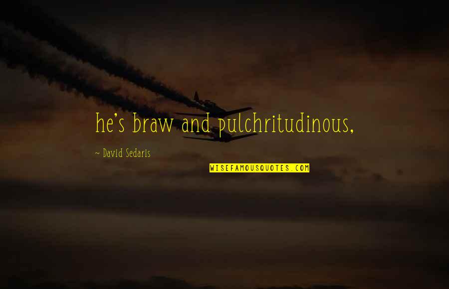 Ambulancia Privada Quotes By David Sedaris: he's braw and pulchritudinous, Ambulancia Privada Quotes By David Sedaris: he's braw and pulchritudinous,