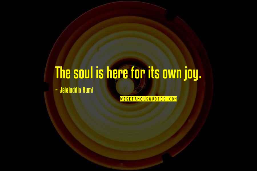 Ambushing Communication Quotes By Jalaluddin Rumi: The soul is here for its own joy.