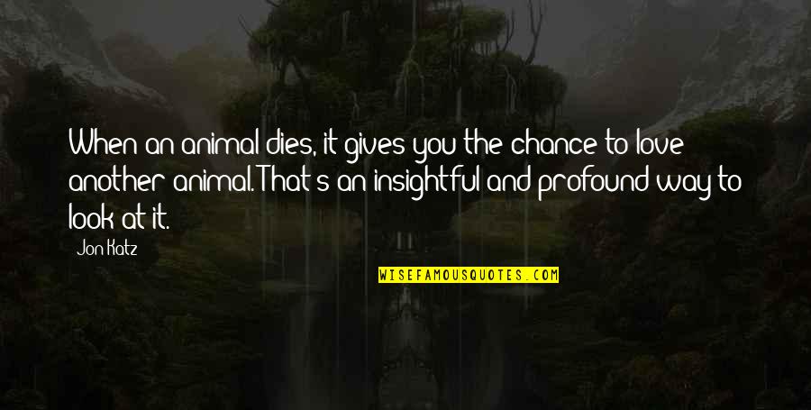 Ambwene Youtube Quotes By Jon Katz: When an animal dies, it gives you the Ambwene Youtube Quotes By Jon Katz: When an animal dies, it gives you the