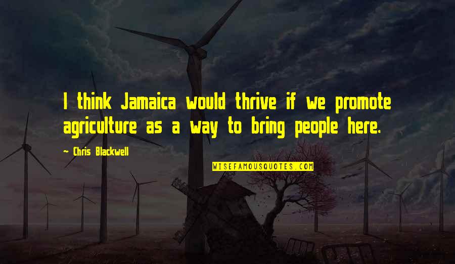 Amedee Quotes By Chris Blackwell: I think Jamaica would thrive if we promote Amedee Quotes By Chris Blackwell: I think Jamaica would thrive if we promote