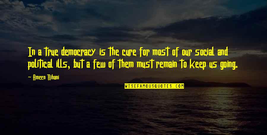 Ameen Quotes By Ameen Rihani: In a true democracy is the cure for