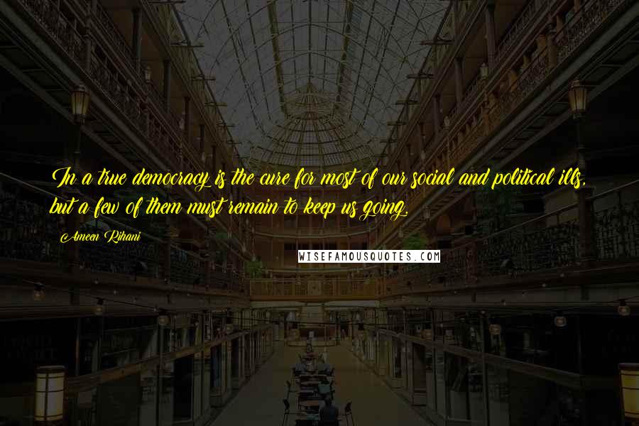 Ameen Rihani quotes: In a true democracy is the cure for most of our social and political ills, but a few of them must remain to keep us going.