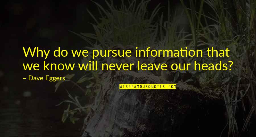 Ameerah Slimeatory Quotes By Dave Eggers: Why do we pursue information that we know