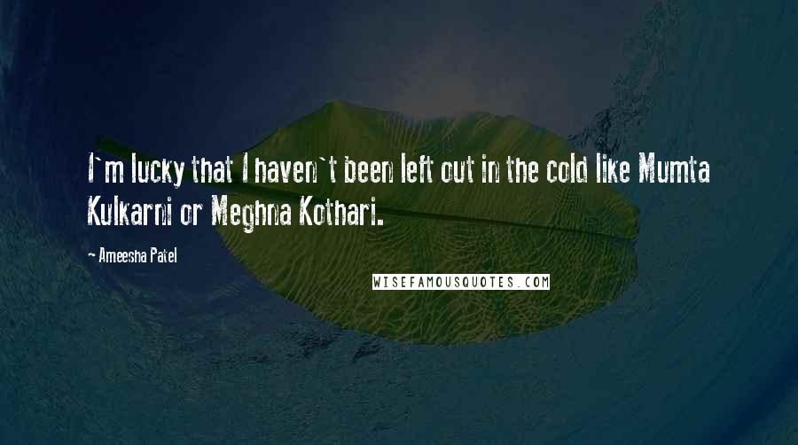 Ameesha Patel quotes: I'm lucky that I haven't been left out in the cold like Mumta Kulkarni or Meghna Kothari.