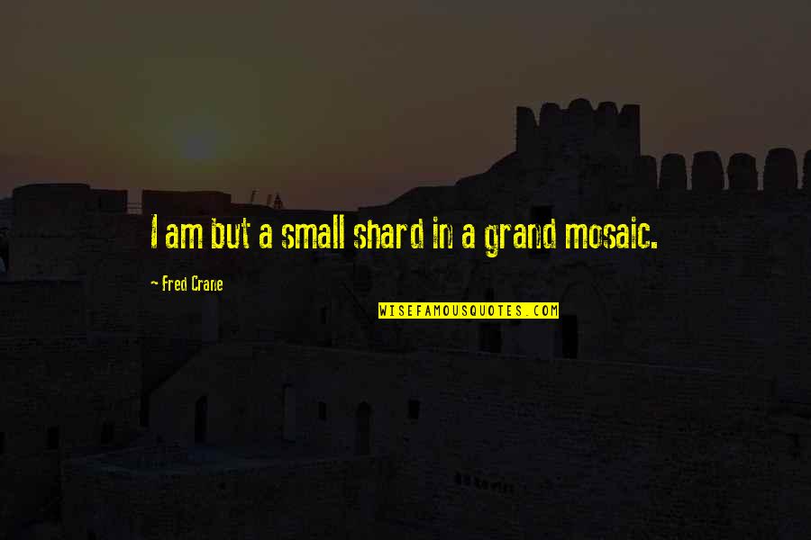 Amelasorbus Quotes By Fred Crane: I am but a small shard in a Amelasorbus Quotes By Fred Crane: I am but a small shard in a