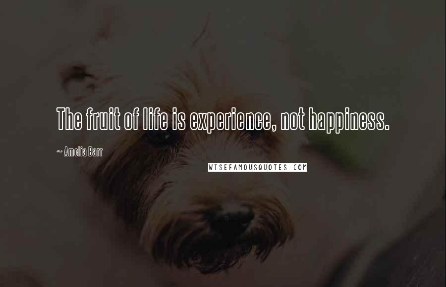 Amelia Barr quotes: The fruit of life is experience, not happiness.