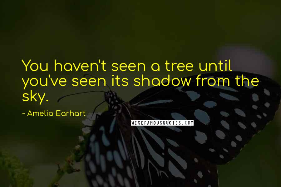 Amelia Earhart quotes: You haven't seen a tree until you've seen its shadow from the sky.