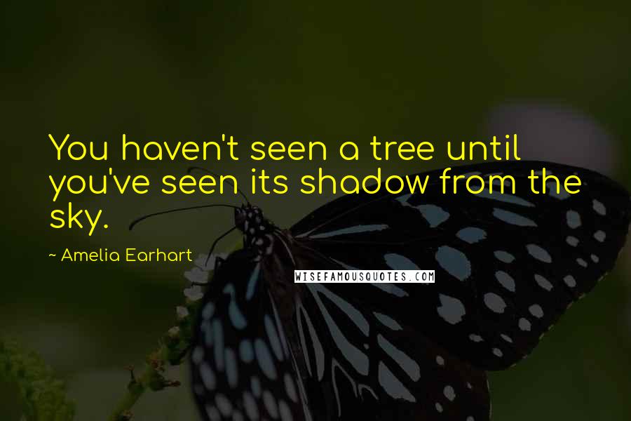 Amelia Earhart quotes: You haven't seen a tree until you've seen its shadow from the sky. Amelia Earhart quotes: You haven't seen a tree until you've seen its shadow from the sky.