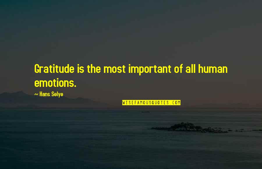 Amelie Nothomb Quotes By Hans Selye: Gratitude is the most important of all human