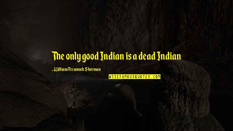 Ameliorations Quotes By William Tecumseh Sherman: The only good Indian is a dead Indian