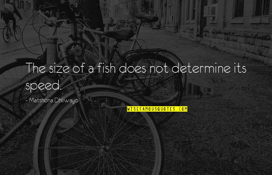 Amends Quotes Quotes By Matshona Dhliwayo: The size of a fish does not determine