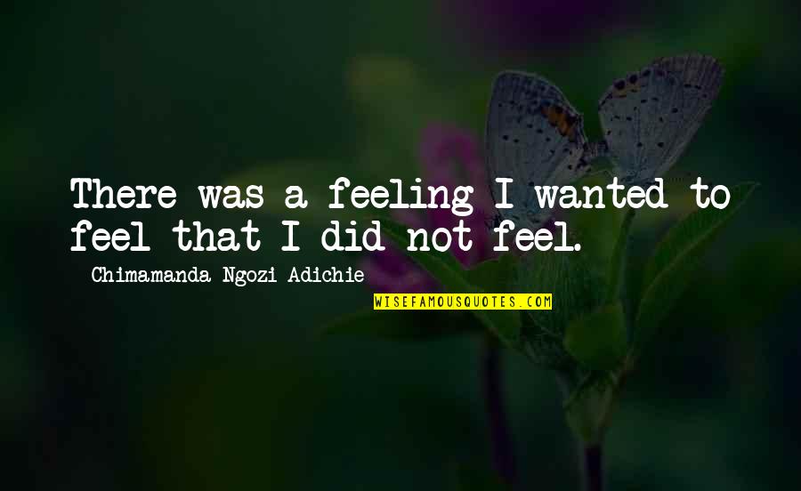Amenintari Quotes By Chimamanda Ngozi Adichie: There was a feeling I wanted to feel