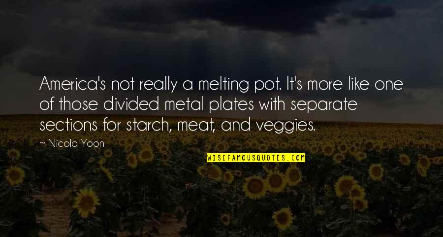 America Is Not A Melting Pot Quotes By Nicola Yoon: America's not really a melting pot. It's more