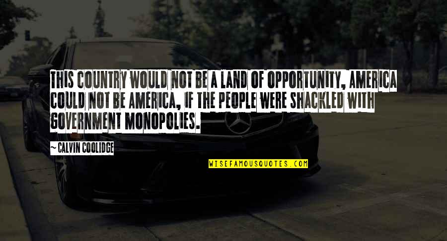 America Land Of Opportunity Quotes By Calvin Coolidge: This country would not be a land of