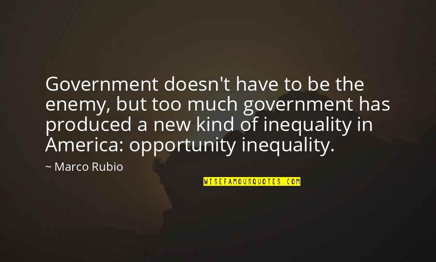 America Opportunity Quotes By Marco Rubio: Government doesn't have to be the enemy, but