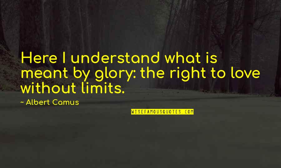 America Singer Quotes By Albert Camus: Here I understand what is meant by glory: