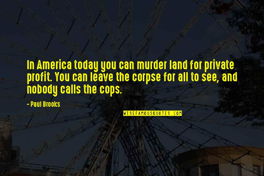 America Today Quotes By Paul Brooks: In America today you can murder land for