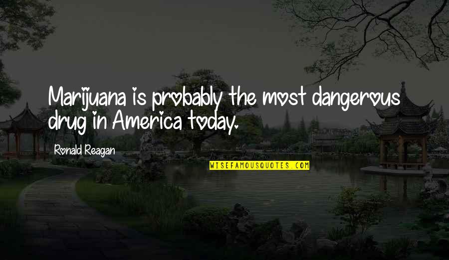 America Today Quotes By Ronald Reagan: Marijuana is probably the most dangerous drug in