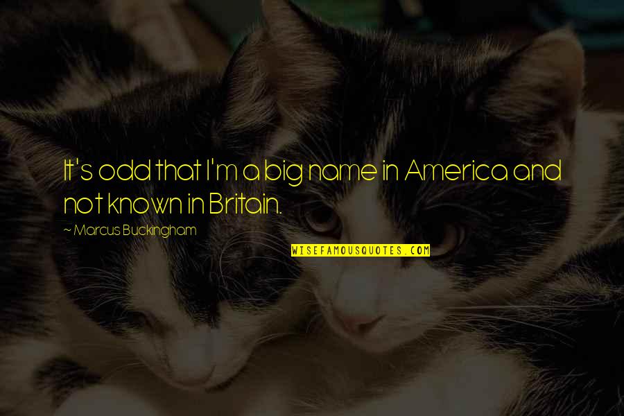 America Vs Britain Quotes By Marcus Buckingham: It's odd that I'm a big name in
