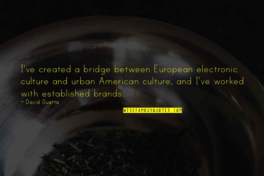 American And European Quotes By David Guetta: I've created a bridge between European electronic culture