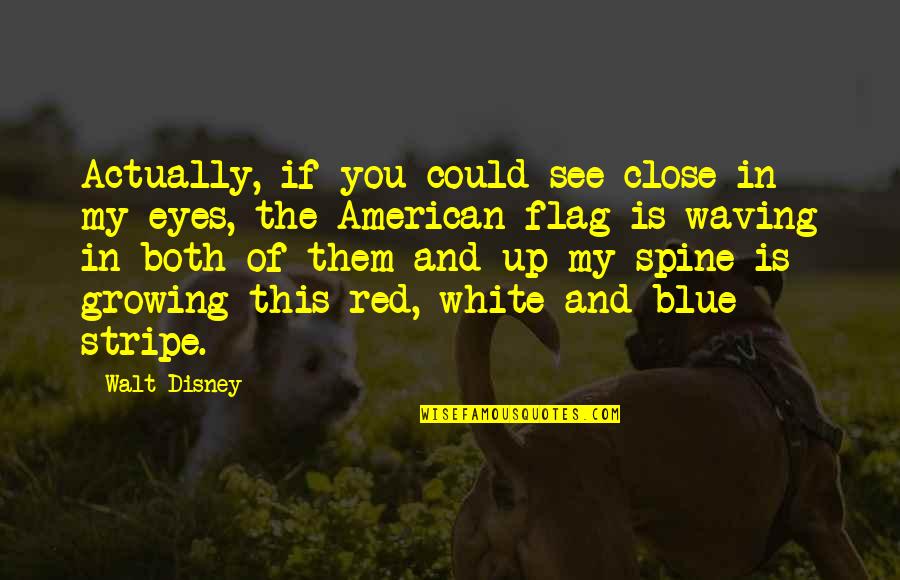 American Flag Quotes By Walt Disney: Actually, if you could see close in my