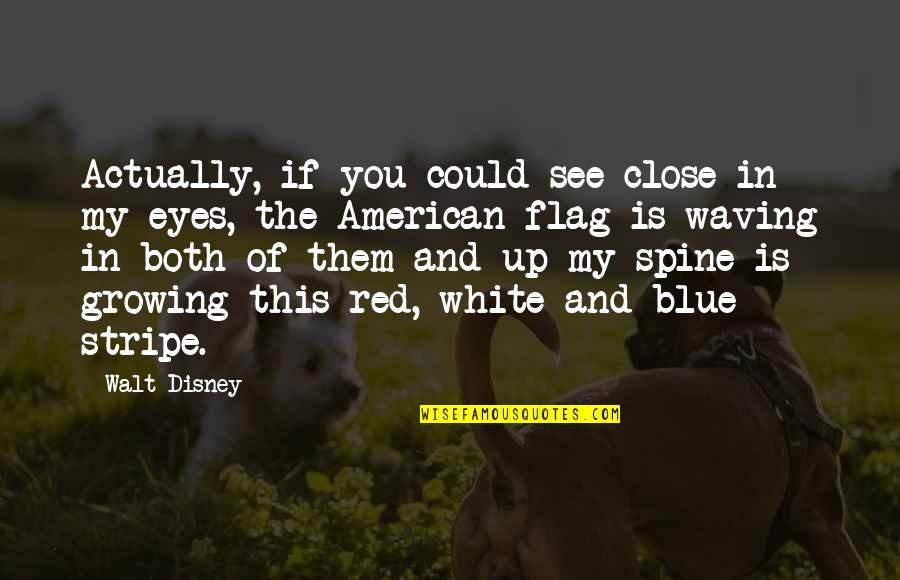 American Flag Waving Quotes By Walt Disney: Actually, if you could see close in my