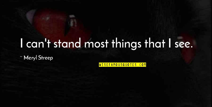 American Hoggers Old Man Quotes By Meryl Streep: I can't stand most things that I see.