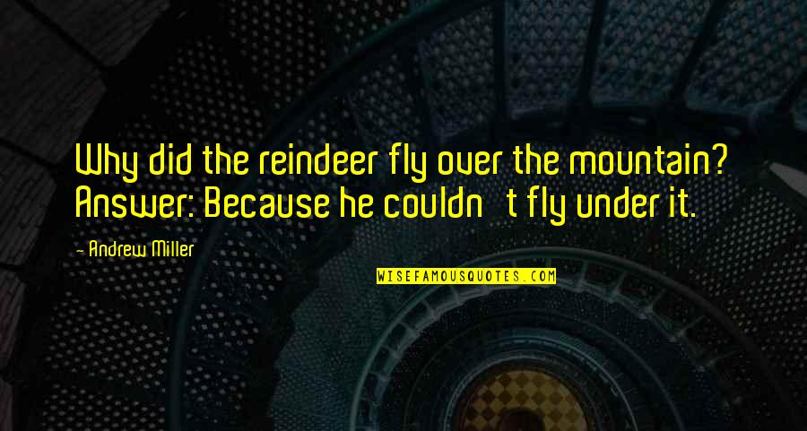American Hustle Science Oven Quotes By Andrew Miller: Why did the reindeer fly over the mountain?