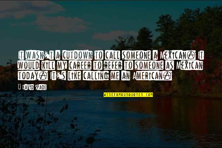 American Like Me Quotes By David Spade: It wasn't a cutdown to call someone a