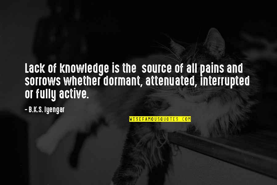 American Me Famous Quotes By B.K.S. Iyengar: Lack of knowledge is the source of all