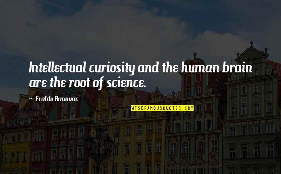 American Me Famous Quotes By Eraldo Banovac: Intellectual curiosity and the human brain are the