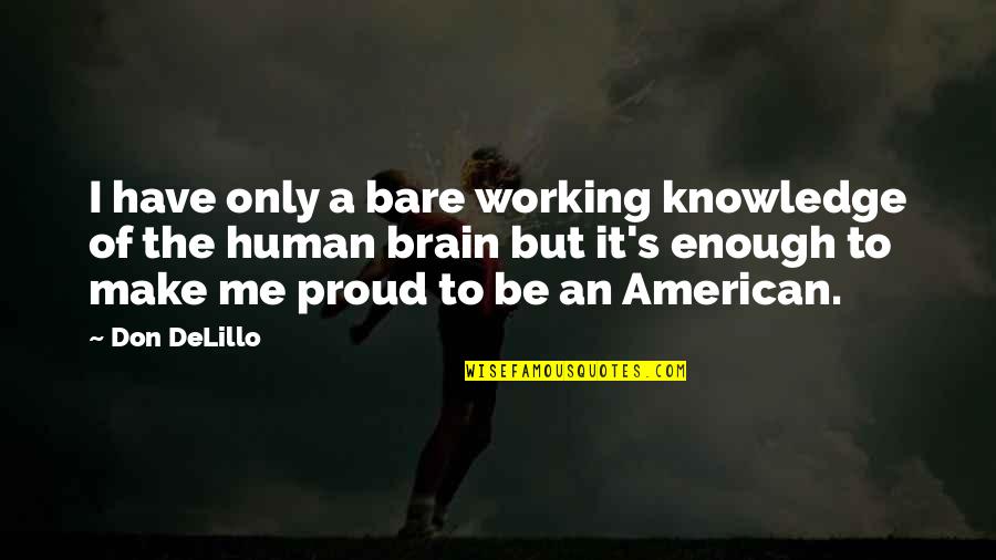 American Me Quotes By Don DeLillo: I have only a bare working knowledge of