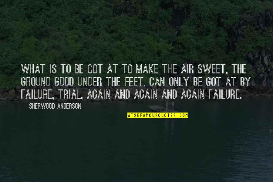 American Pitbull Quotes By Sherwood Anderson: What is to be got at to make