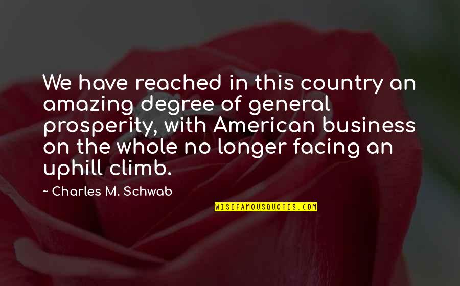 American Prosperity Quotes By Charles M. Schwab: We have reached in this country an amazing American Prosperity Quotes By Charles M. Schwab: We have reached in this country an amazing