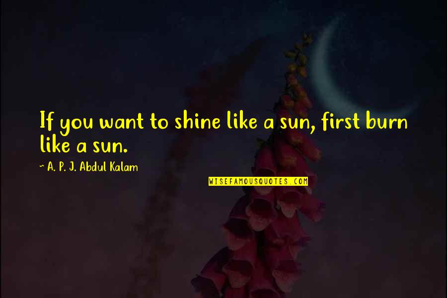American Proverb Quotes By A. P. J. Abdul Kalam: If you want to shine like a sun,