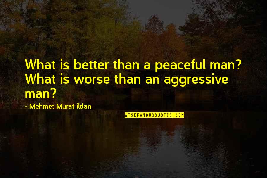 American Psycho End Quotes By Mehmet Murat Ildan: What is better than a peaceful man? What American Psycho End Quotes By Mehmet Murat Ildan: What is better than a peaceful man? What