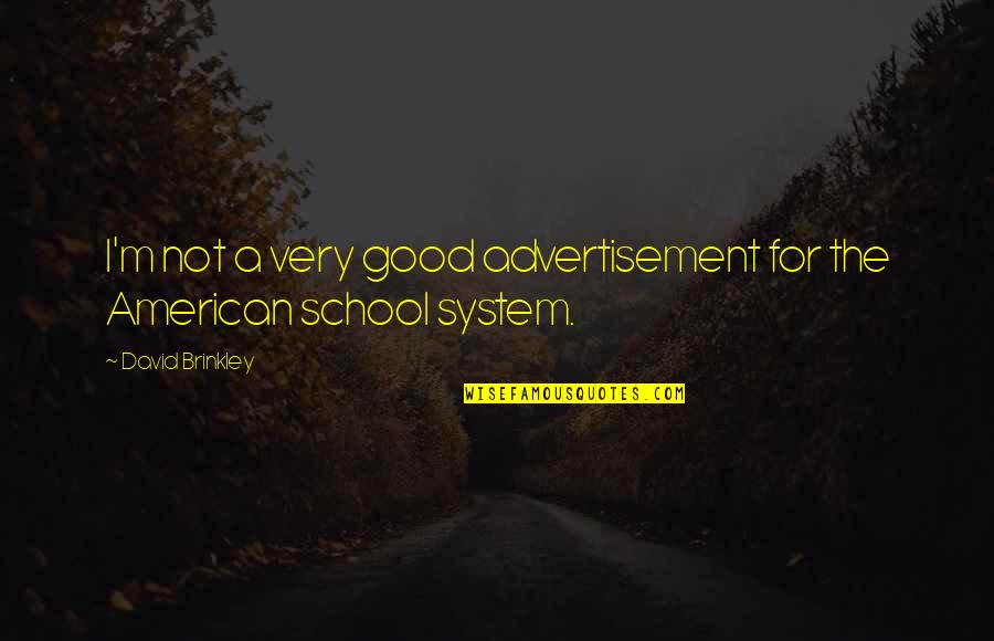 American School System Quotes By David Brinkley: I'm not a very good advertisement for the