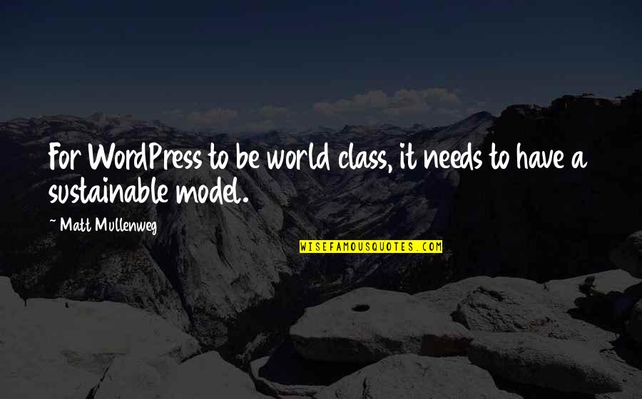 American Way Of Life Quotes By Matt Mullenweg: For WordPress to be world class, it needs