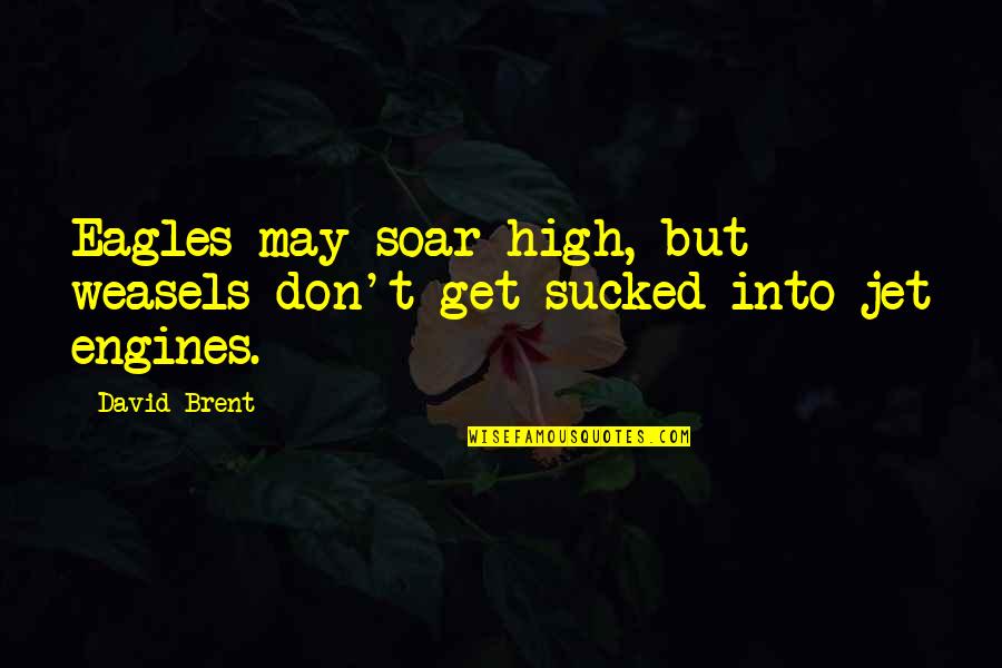 Americans Step Up In Times Of Need Quotes By David Brent: Eagles may soar high, but weasels don't get