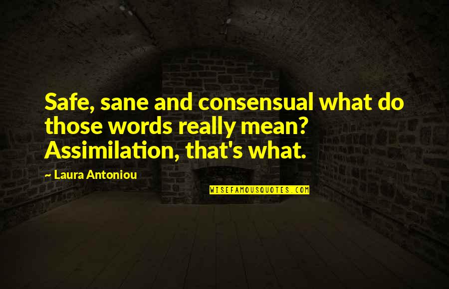 Amerikaanse Burgeroorlog Quotes By Laura Antoniou: Safe, sane and consensual what do those words