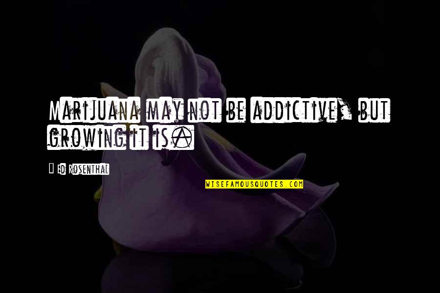 Ameripolitan Quotes By Ed Rosenthal: Marijuana may not be addictive, but growing it