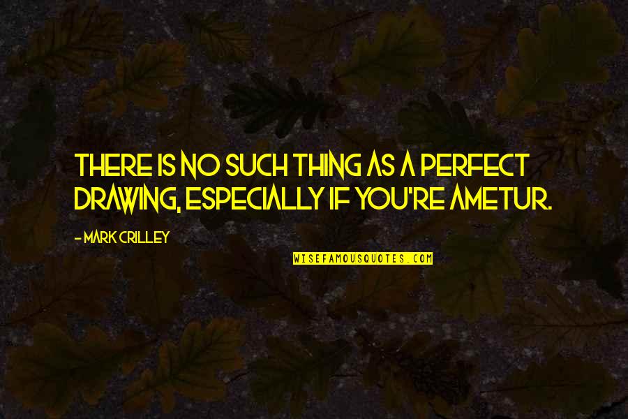 Ametur Cor Quotes By Mark Crilley: There is no such thing as a perfect