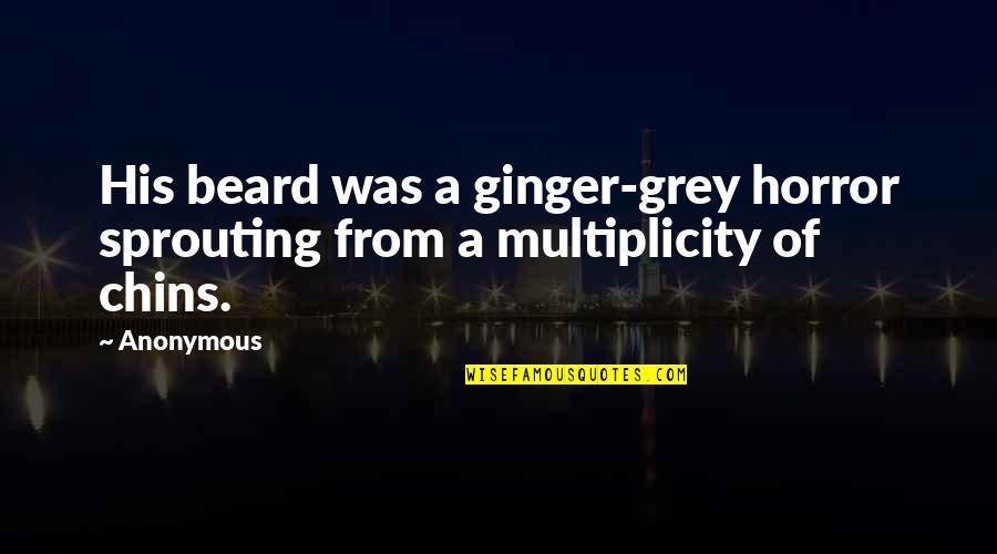 Ameturistic Quotes By Anonymous: His beard was a ginger-grey horror sprouting from