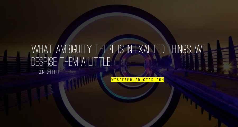 Amicability Quotes By Don DeLillo: What ambiguity there is in exalted things. We