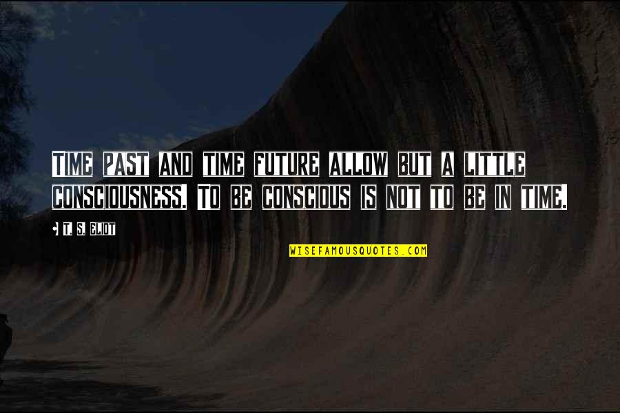 Amicks Superstore Quotes By T. S. Eliot: Time past and time future allow but a Amicks Superstore Quotes By T. S. Eliot: Time past and time future allow but a